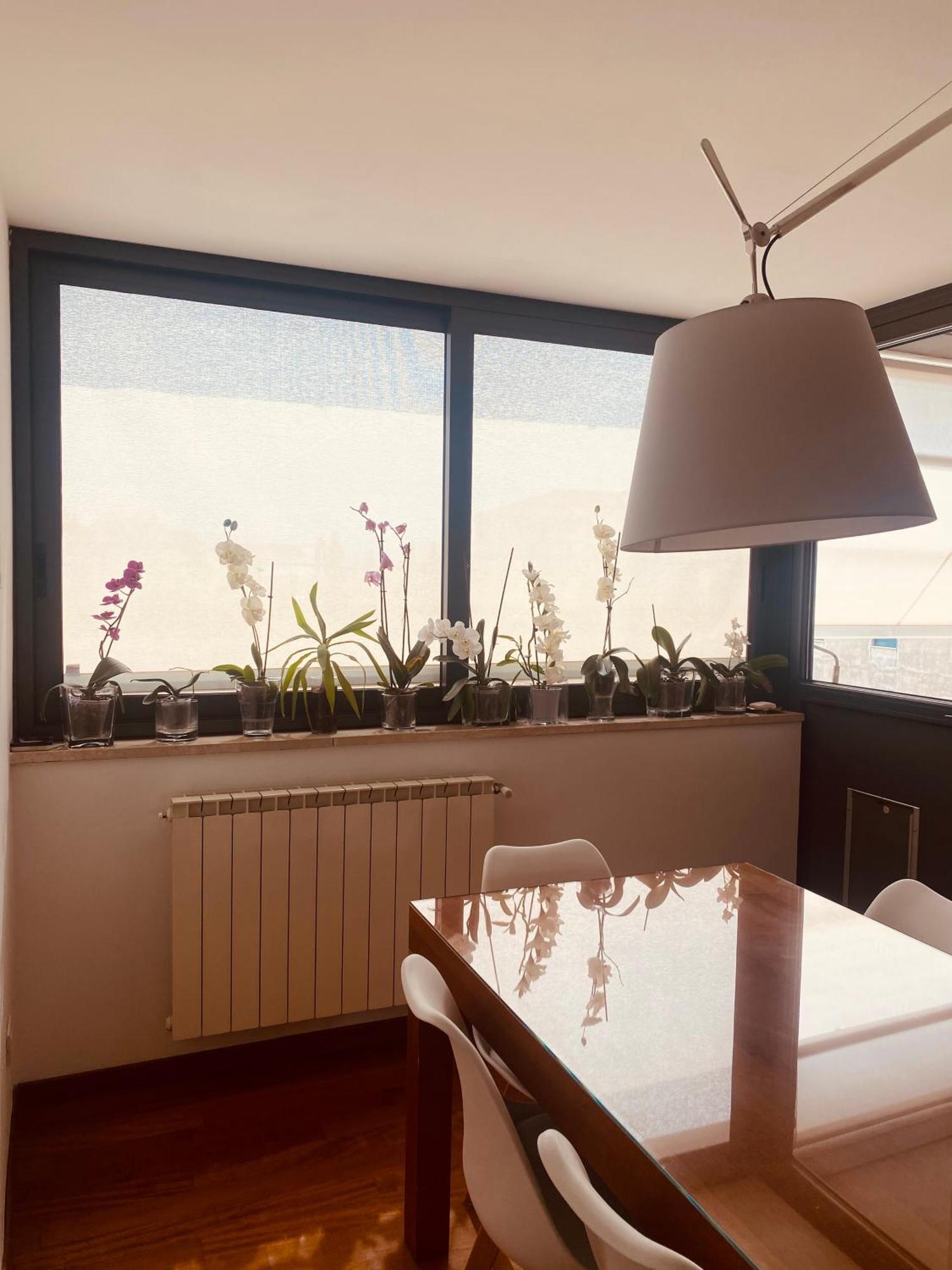La Casa Di Dani Daire Floransa Dış mekan fotoğraf