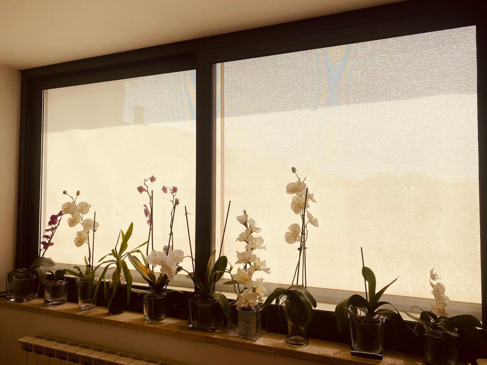 La Casa Di Dani Daire Floransa Dış mekan fotoğraf
